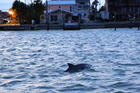 Madeira Beach: Calypso Breeze Cruise with Buffet Calypso Breeze - Evening Casual Cruise - with Buffet