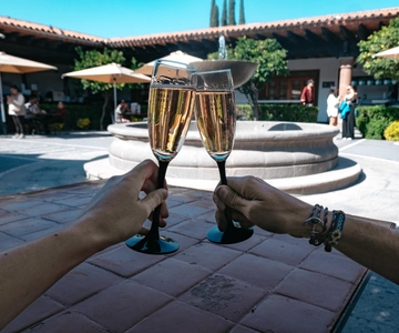 Querétaro: Tour de Queijos e Vinhos em um Dia