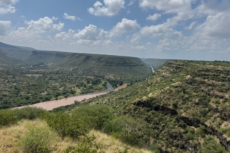 Addis Abeba: Awash-Nationalpark &amp; Harar 4-tägige Tour