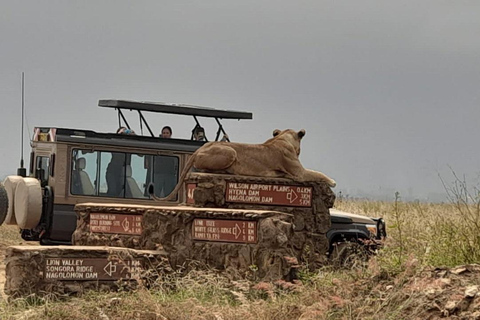 Nairobi: Parque Nacional, Orfanato de Elefantes y Centro de Jirafas