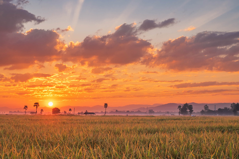 Dimbulagala Eco Trekking and Village Tour From Polonnaruwa