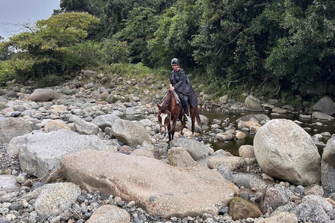 Horseback Ride + Contact Farm in Boquete 2 hours