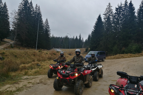 Sneeuwscooter, ATV of Buggy tour vanuit BoekarestSneeuwscooter Privé