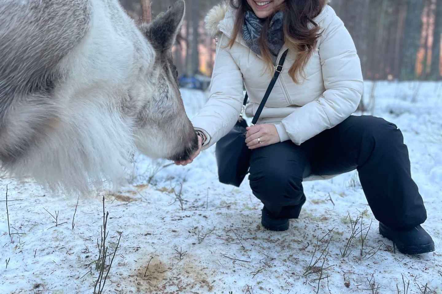 Luleå, Lapponia svedese: incontro con le renne e lávvu Sami