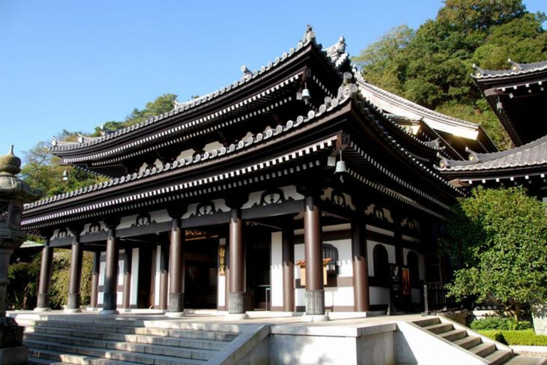 Tokyo: City Full-Day Private Scenic Tour With English Guide