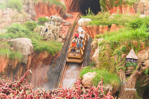 Tokyo Disney Resort: 1-Day Park Hopper Passport Start at Tokyo Disneyland – Park Hopper Ticket