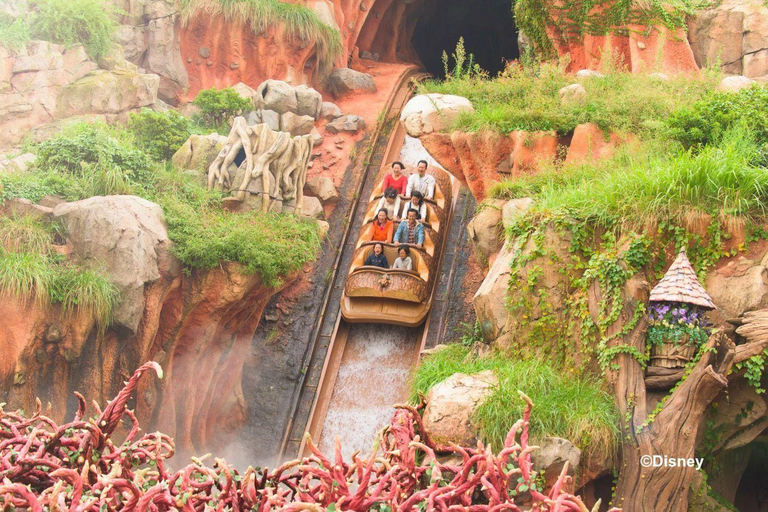 Tokyo Disney Resort: 1-Day Park Hopper Passport Start at Tokyo Disneyland – Park Hopper Ticket