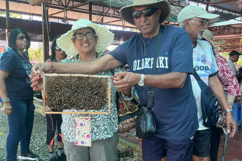 Ho Chi Minh City: Cu Chi Tunnels & Mekong Delta Day Trip Cu Chi Tunnels & Mekong Delta Day Trip