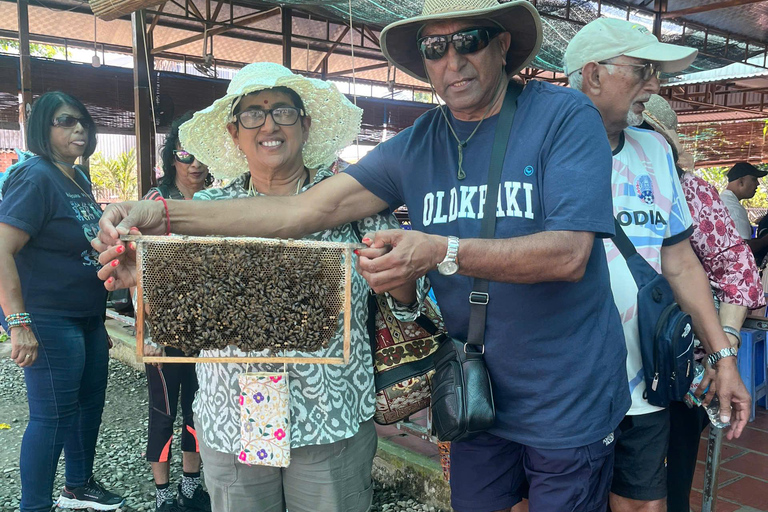 Ho Chi Minh City: Cu Chi Tunnels & Mekong Delta Day Trip Cu Chi Tunnels & Mekong Delta Day Trip