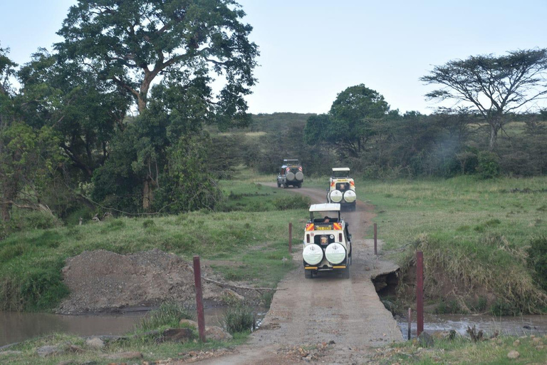 Tsavo Amboseli & Tsavo Expedition Safari Tour