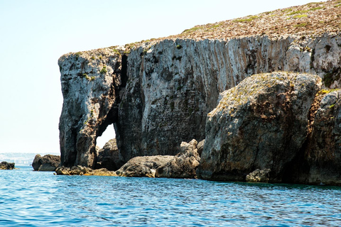 Från Gozo: Runt Comino, Blå lagunen, Kristallagunen och grottornaHalvdagskryssning runt Cominos blå lagun och grottor