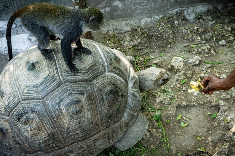 Sansibar: Tierschutz im Kilosa Zoo &amp; Dau-Fahrt bei Sonnenuntergang