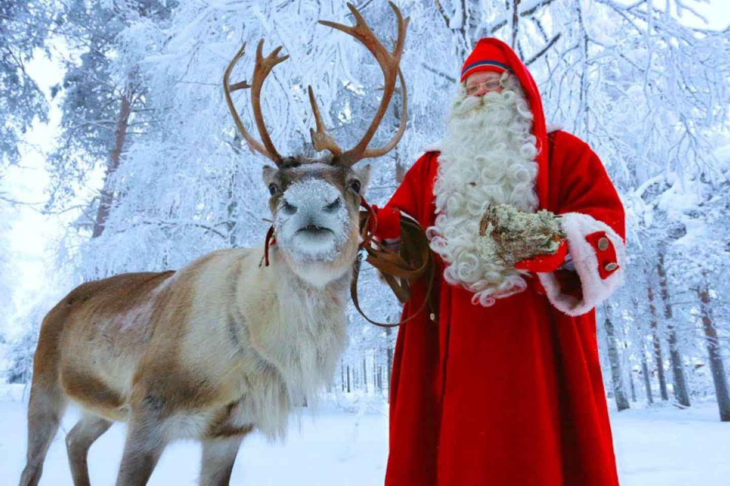 Rovaniemi: excursion to Santa Clause Holliday Village