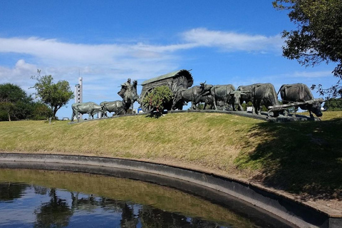 Montevideo: 4-Hour Guided City Tour with Hotel Pickup Service Montevideo: 4-Hour Guided City Tour with Hotel Pickup