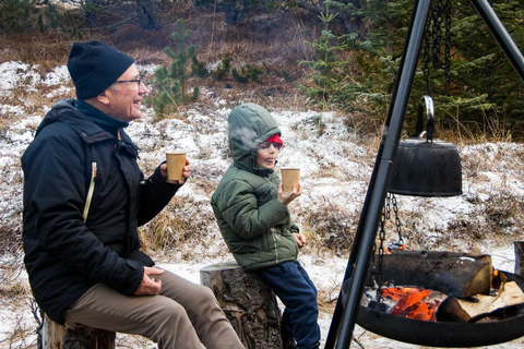 Depuis Reykjavík : Marché de Noël et visite en voiture des Yule Lads