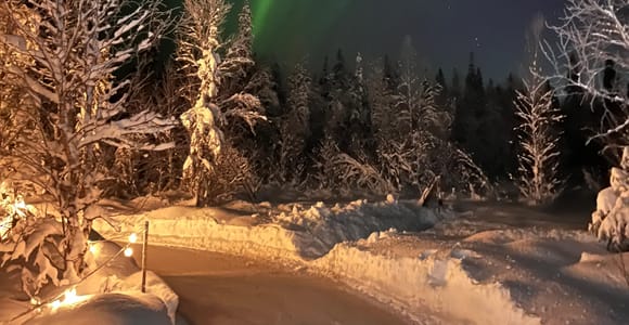 Skater following a lit natural-ice trail between snow-covered trees near Levi