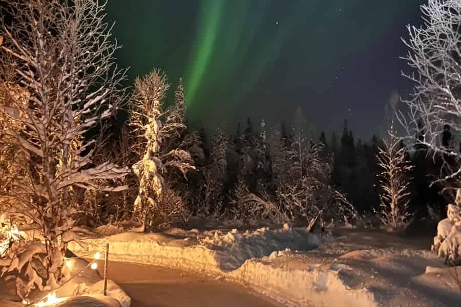 Levi: Eislaufen im arktischen Wald (1 km). Foto: GetYourGuide Levi: Eislaufen im arktischen Wald (1 km). Foto: GetYourGuide