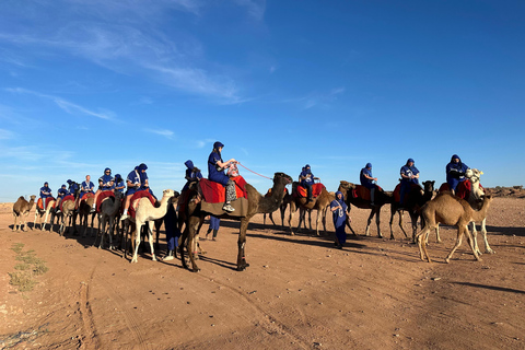 Sunset Camel Ride in Desert &amp; Palm Grove with Tea &amp; Transfer