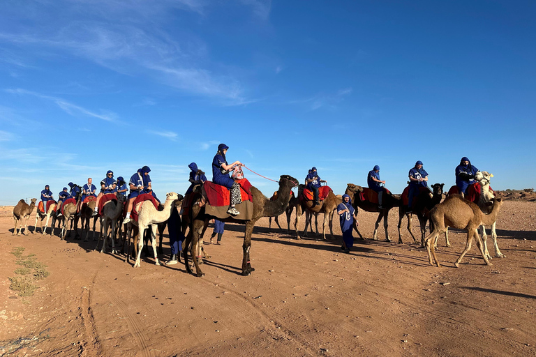 Sunset Camel Ride in Desert &amp; Palm Grove with Tea &amp; Transfer