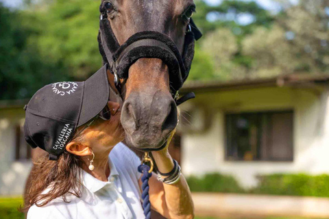 Best Horse Riding Safari Tour from Bangalore