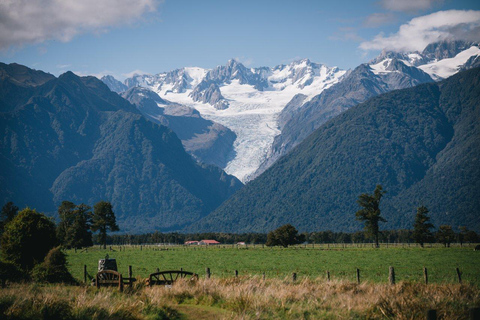 From Christchurch: TranzAlpine & Bus Tour to Franz Josef