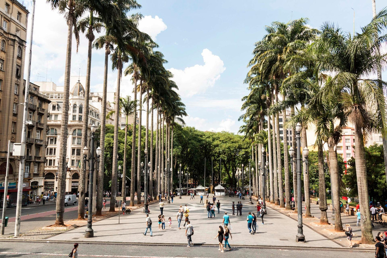 WWII Highlights Sao Paulo Private Guided Walking Tour 2-hour: WWII Walking Tour