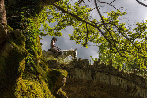 جنوب ألبانيا: جولة مغامرات شاملة لمدة 8 أيام مع مرشد محلي