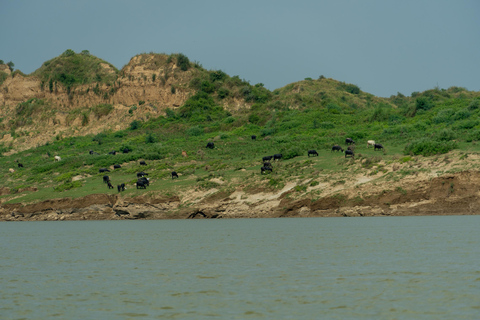 From Agra: Day Trip to Chambal River Safari with Lunch