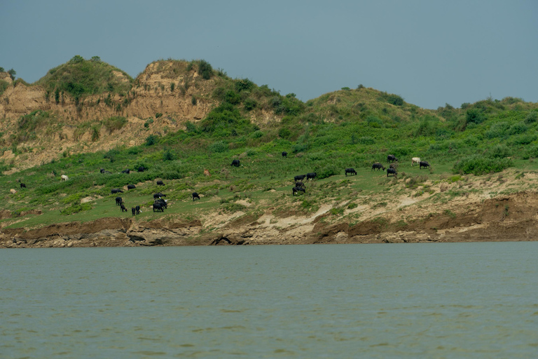 From Agra: Day Trip to Chambal River Safari with Lunch