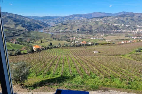 Porto: Tour durch das Douro-Tal mit Kreuzfahrt, Mittagessen und WeinverkostungGeführte Tour auf Portugiesisch