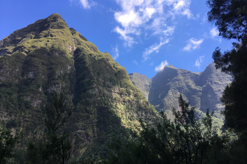 Madeira: Levada do Caldeirão Verde Hike with Local Pickup