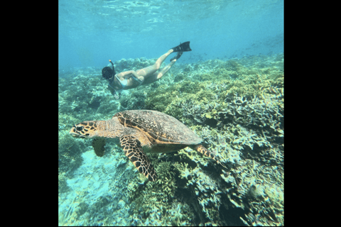 One Day Trip Menjangan Island With Snorkling Experience
