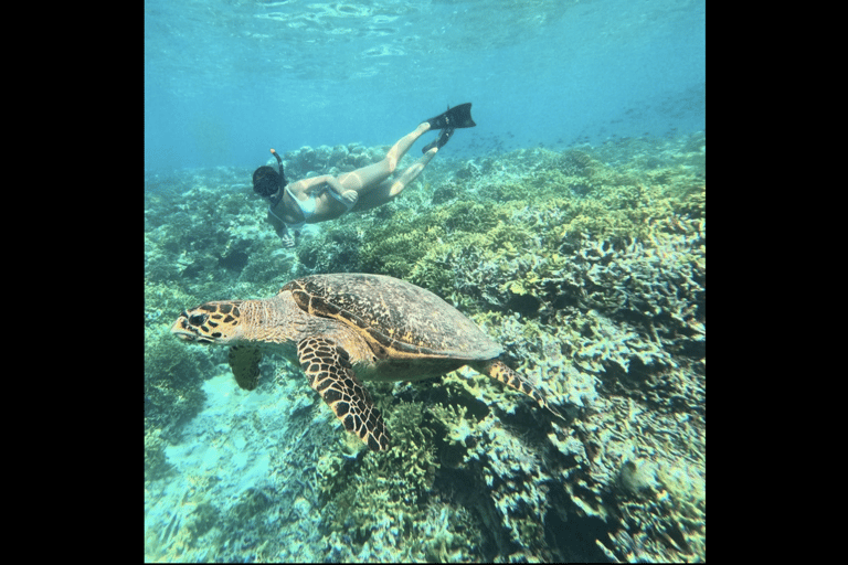 One Day Trip Menjangan Island With Snorkling Experience