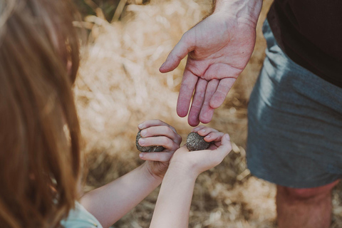 Tuscany: Volterra Truffle Hunting