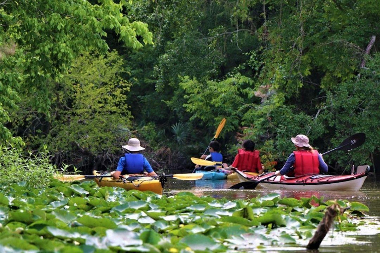 San Jacinto River | Stream Geomorphology Field Trip