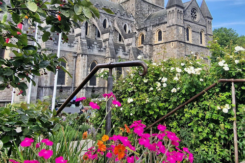 Dublin Private Medieval Walking Tour Dublin Private Medieval Walking Tour in English