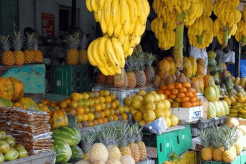 Culture Half Day Tour in Higuey from Punta Cana Higuey cultural tour with food on the beach