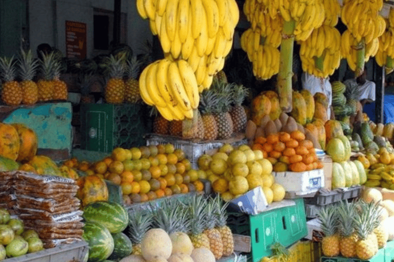 Culture Half Day Tour in Higuey from Punta Cana Higuey cultural tour with food on the beach