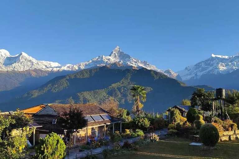 Pokhara : Journée de randonnée à Astham et au village de Dhampus