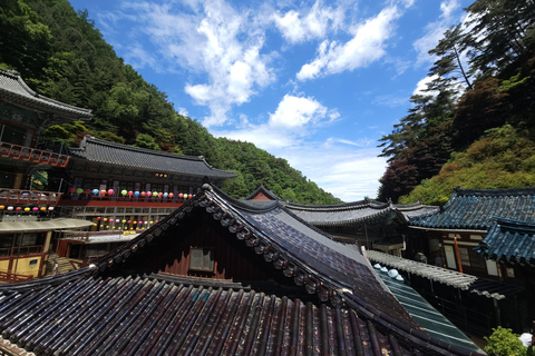 Excursión a Danyang: Templo de Guinsa y Bobaljae y Teleférico de CheongpungSalida desde la Estación DHCP Salida 10