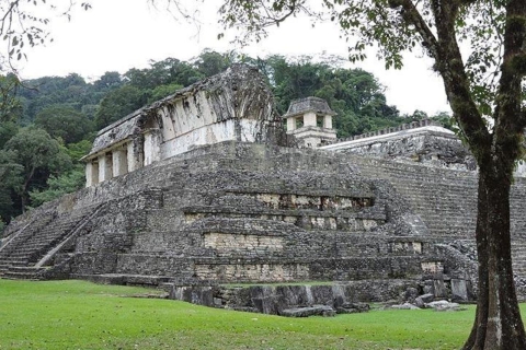 Site archéologique de Palenque depuis Villahermosa ou l'aéroportSite archéologique de Palenque 2024