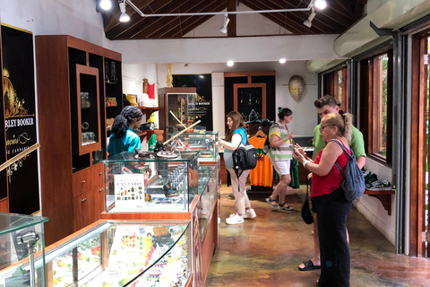 鲍勃·马利九英里之旅（从蒙特哥贝和法尔茅斯出发）鲍勃·马利9英里之旅（从蒙特哥贝和法尔茅斯出发）