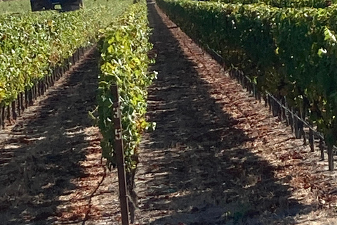 Destaques de Santa Bárbara e passeios a vinícolas.