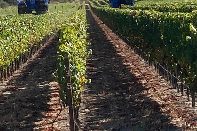 Destaques de Santa Bárbara e passeios a vinícolas.