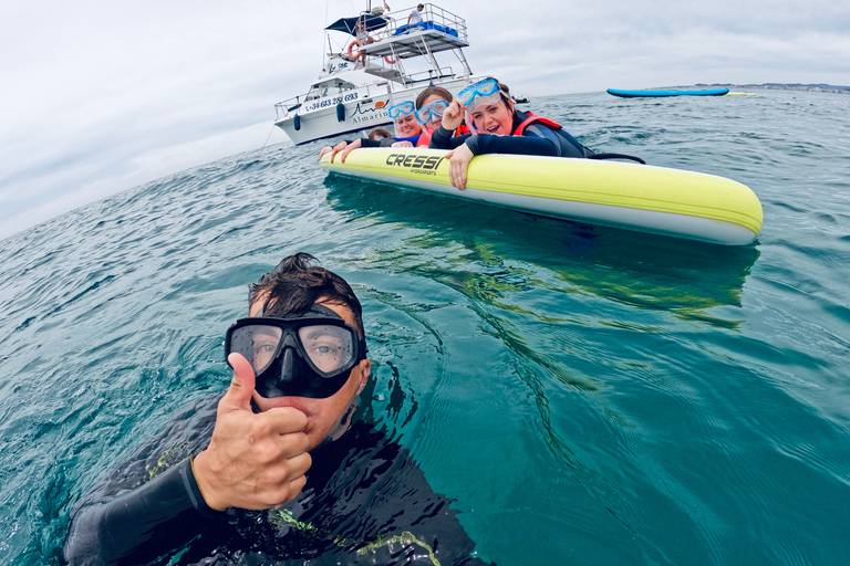 Malaga : Excursion en bateau avec plongée en apnée, activités nautiques et déjeuner