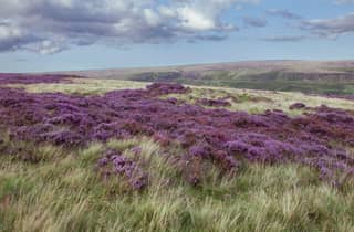 Liverpool – North Wales Explorer: Standard-Landausflug