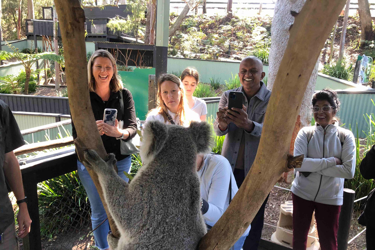 From Haymarket: Hunter Valley Wine and Wildlife Day Trip