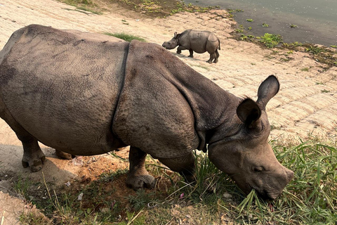 Kathmandu 6-Day Motorbike Tour: Pokhara & Chitwan Safari