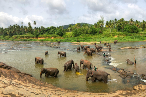 Sri Lanka starożytne cuda Sigiriya, Kandy, Dambulla - 2 dni