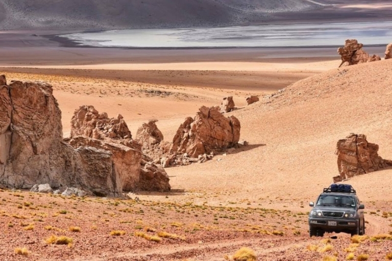 La Paz: Excursión de 1 día al Salar de Uyuni en avión con hotelVisita privada